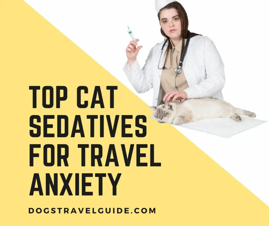 Natural Cat Sedatives for Travel Anxiety