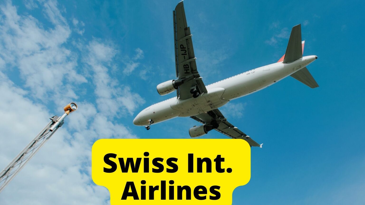 16 Airlines That Allow Snub-Nosed Dogs [2025 Guide] - Dogs Travel Guide