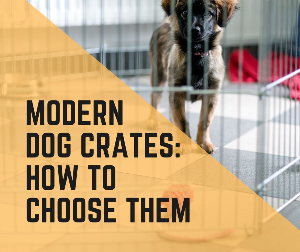 Modern Dog Crates